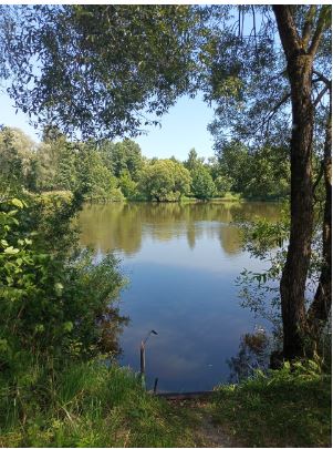 Озеро в Воробьево