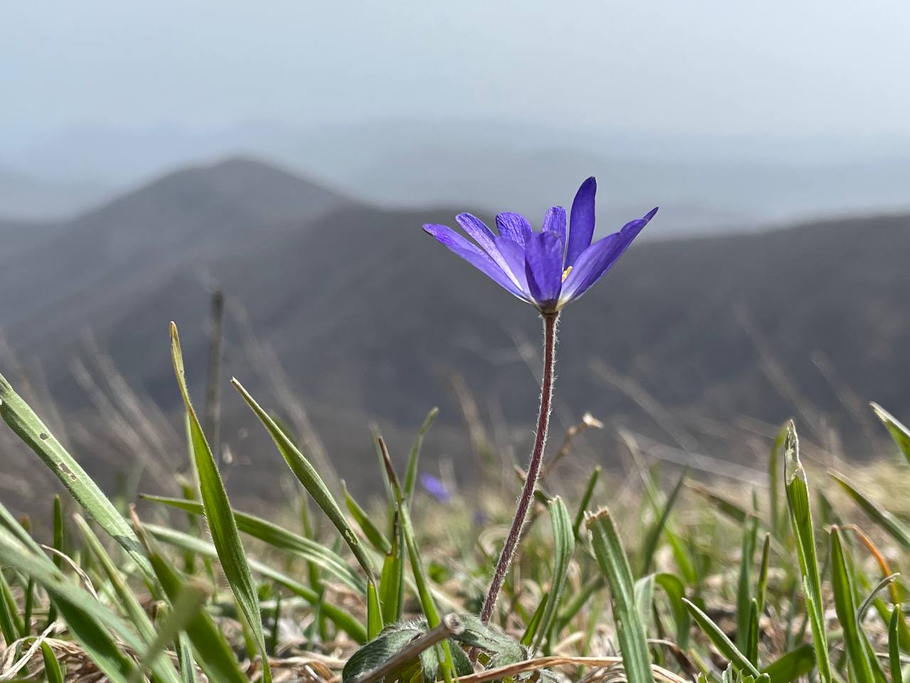 Виват, Historia! Vitam docet!