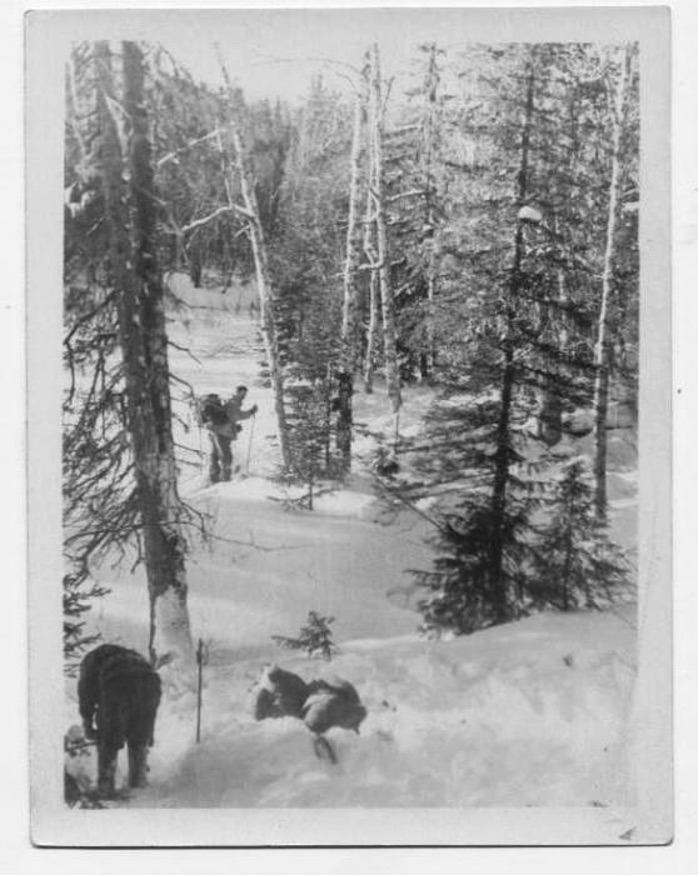 Анализ дневников группы Дятлова 14