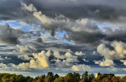 Моменты осени