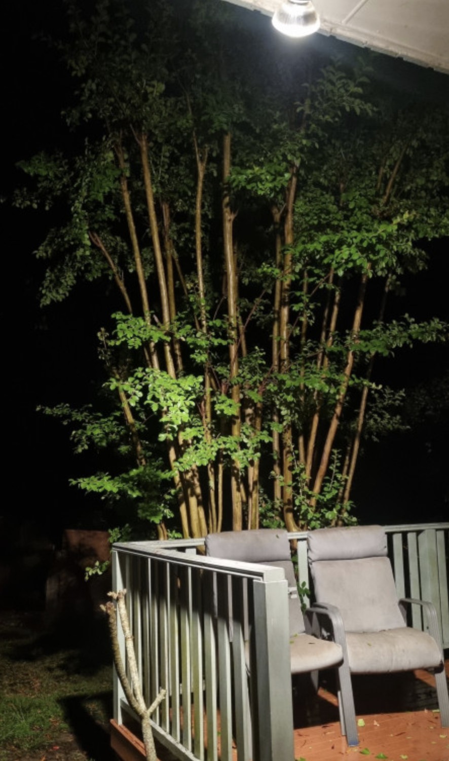 Кубики льда с луны