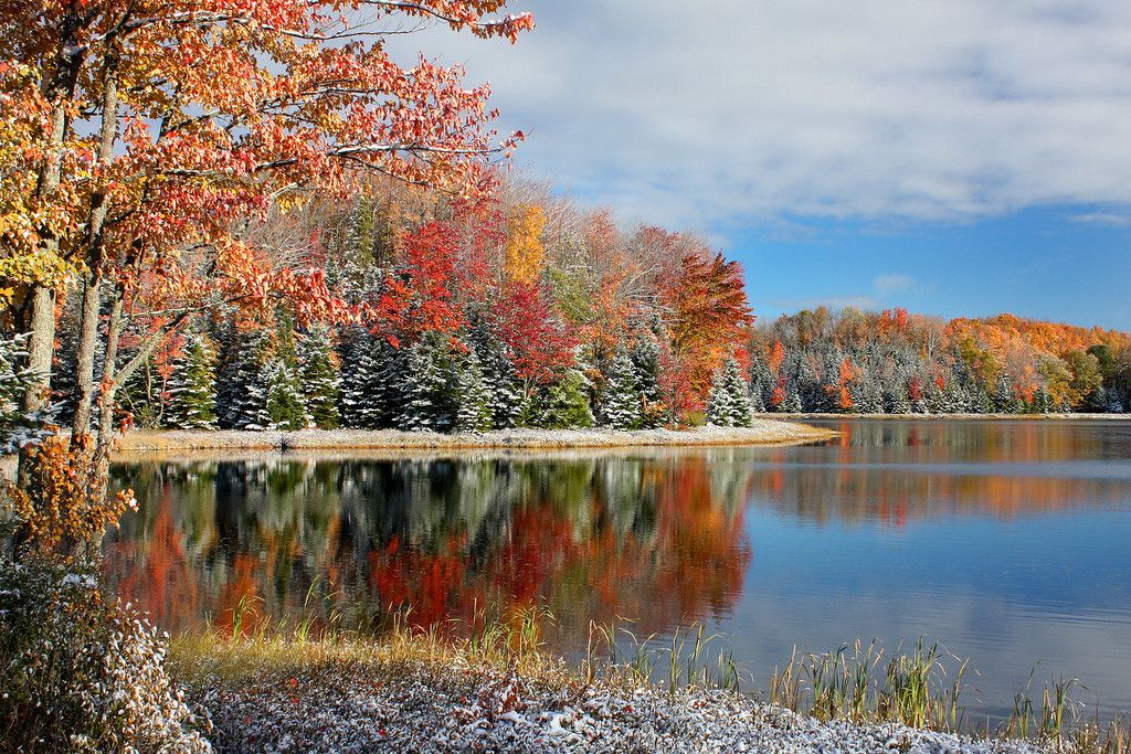 Ноябрьское