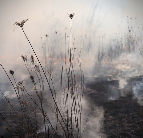 серая осень