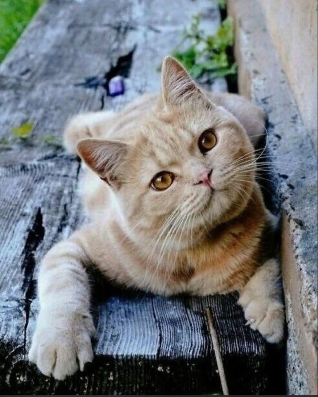 А без дома улыбка не та...