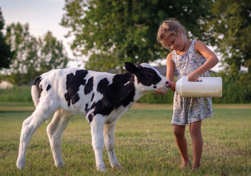 Корова сама себе инвестор