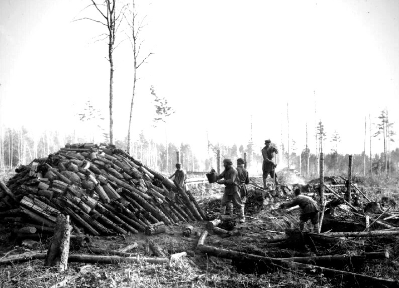 Они придут снова 6 глава