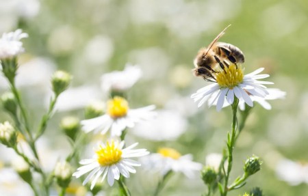 Прощание с детством