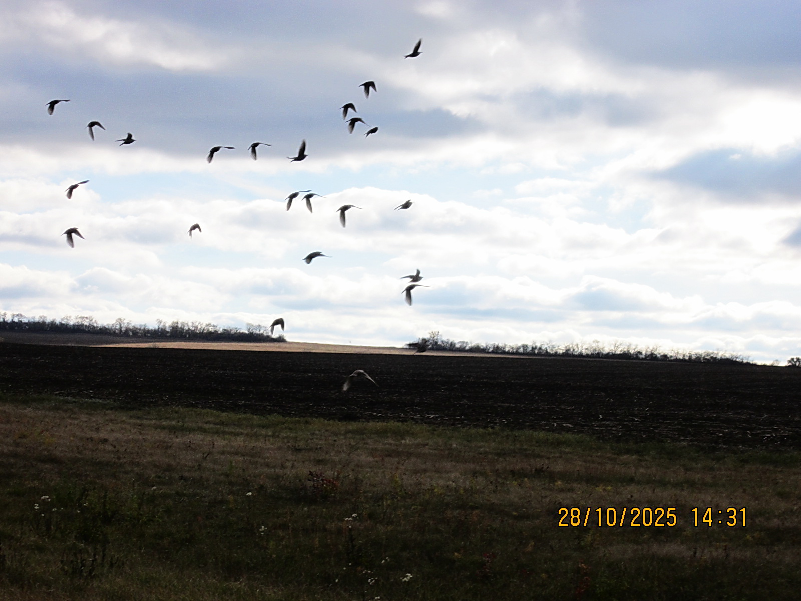 Трудовой народ и Матушка земля, поднимут Русь тебя