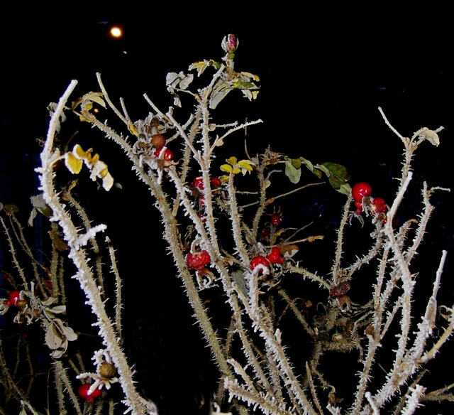 Авторецензия на Гибель группы Дятлова. 4. 0