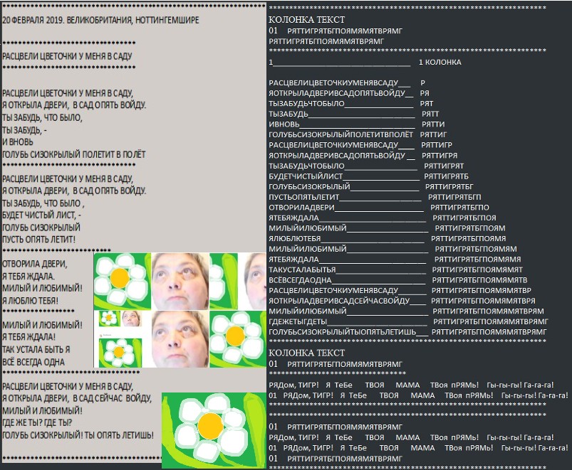 Flowers bloomed in my garden