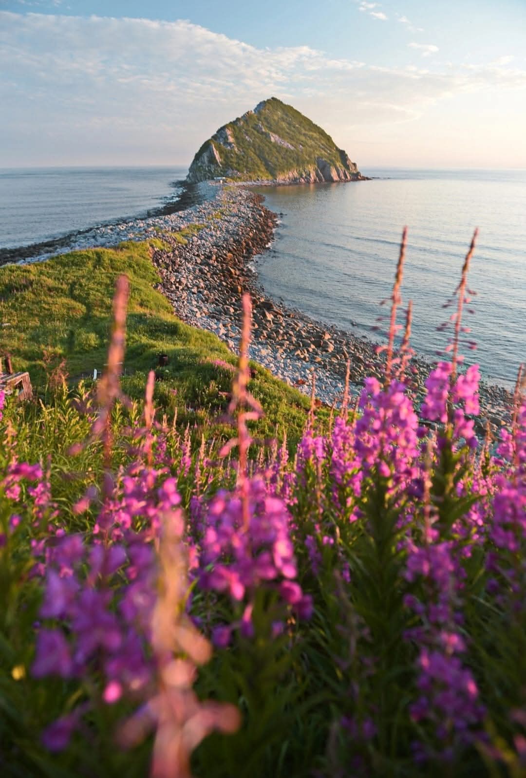 13. Любовь? Влюбленность? Страсть?