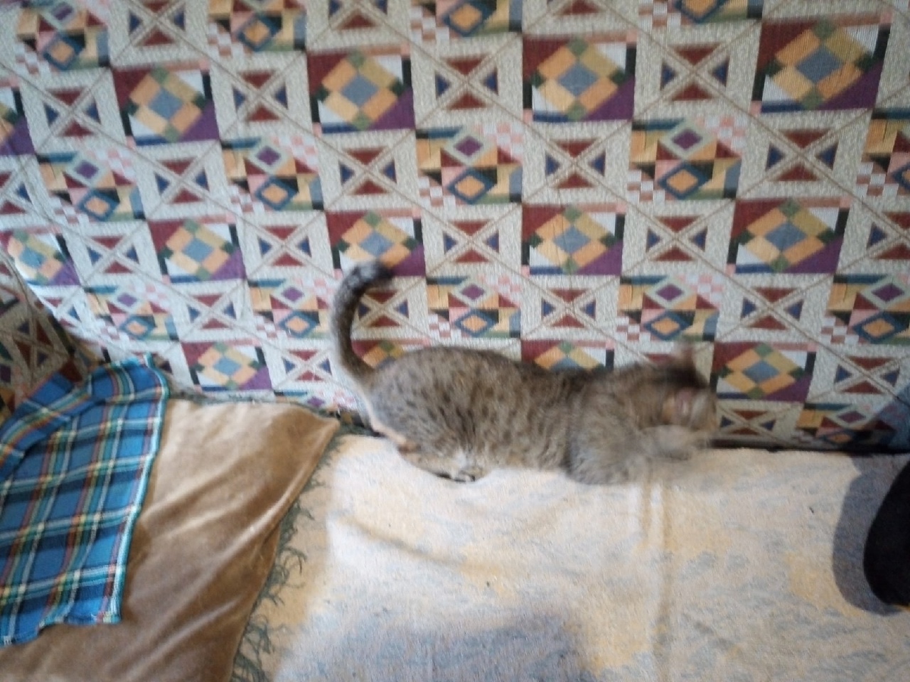 Без-конечные прогулки 49 лист 10 роман-коллаж