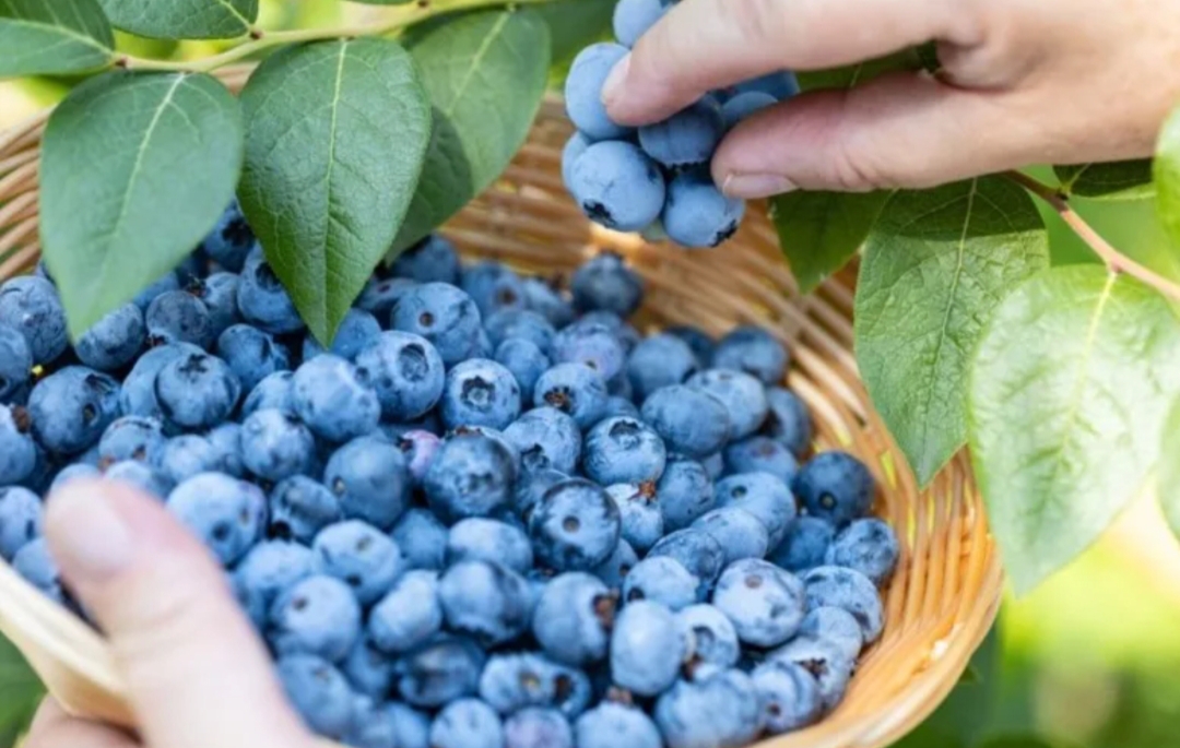 Поездка за вдохновением