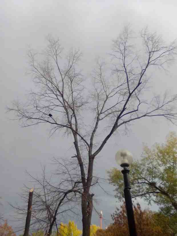 Будни старпёра. 162. Ноябрь