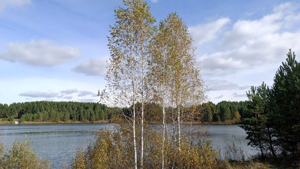 Береза и песнь души