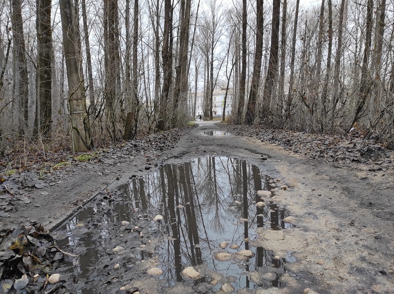 Осенняя хандра