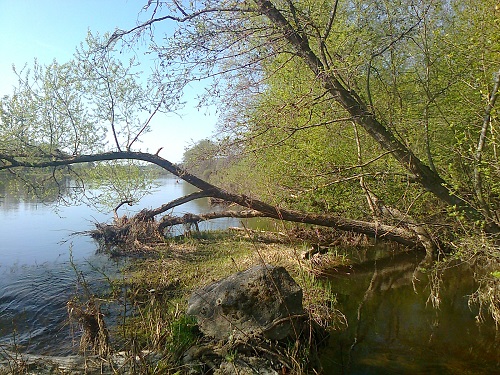 Брат доброго Геры - 25