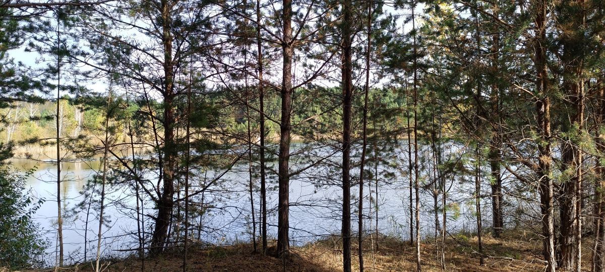 Невидимый компас в океане информации