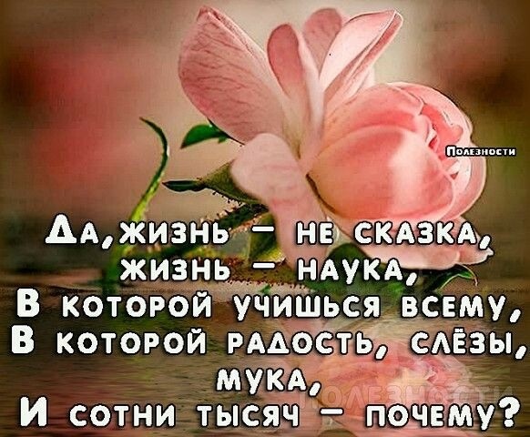 Бескорыстная помощь