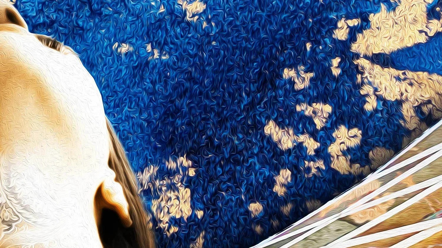 Квантовый шпион. Книга, которую нужно читать дважд