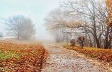 Тайна осени