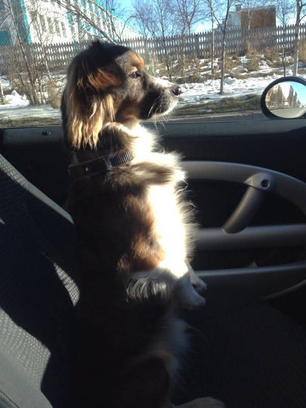 22. Лада. Первый урок Любви. Джеки. Мо