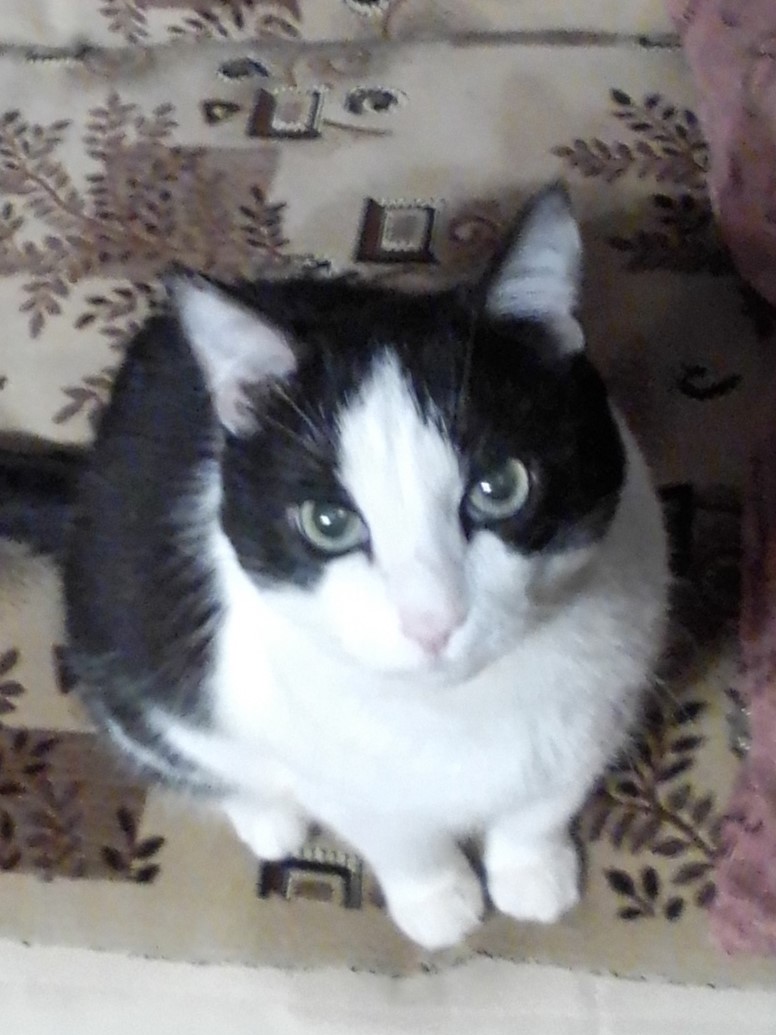 Будни старпёра. 163. Опять среда