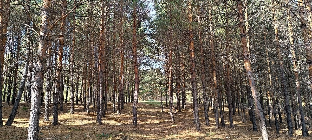 Как сознание меняет все