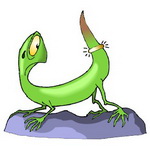 Пустынный флирт