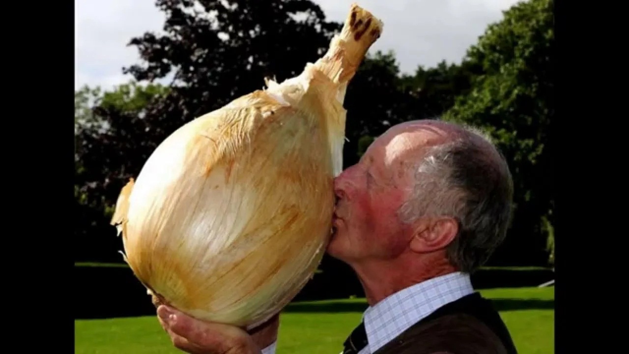 пинок Кио 80