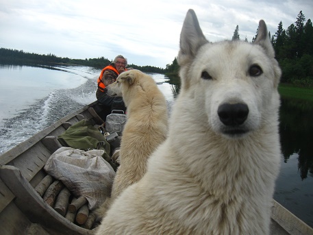 Бог молчит. Ч. 3. Жестокая реальность тайги