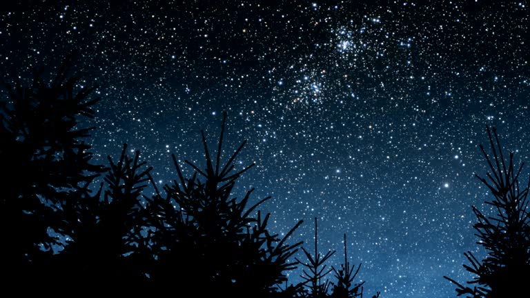 Станут сниться