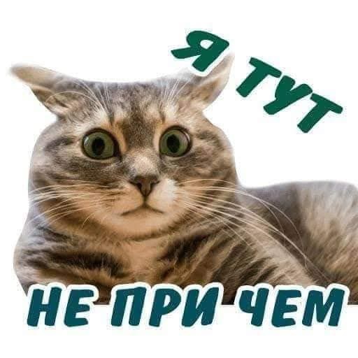 Дорогой дневник. 6 ноября 2025