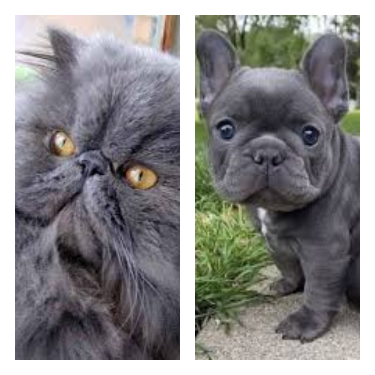 Храпители нашего очага. Драббл 100