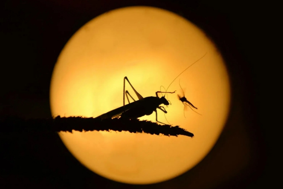 Масштабы - важное