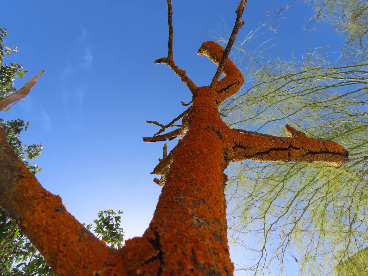 Программа РеКОД 7 этапов