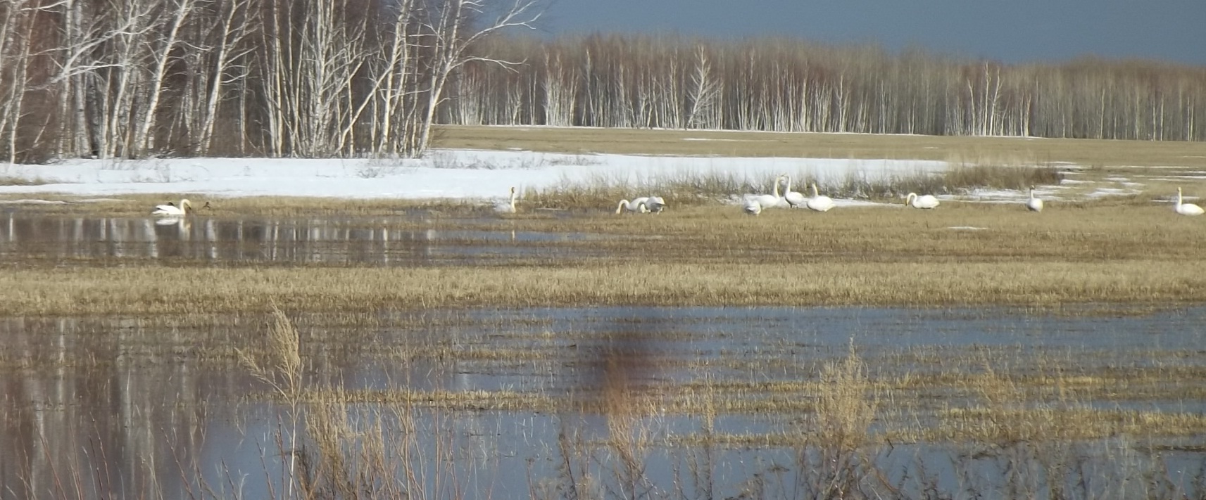 Бог меняет наши планы