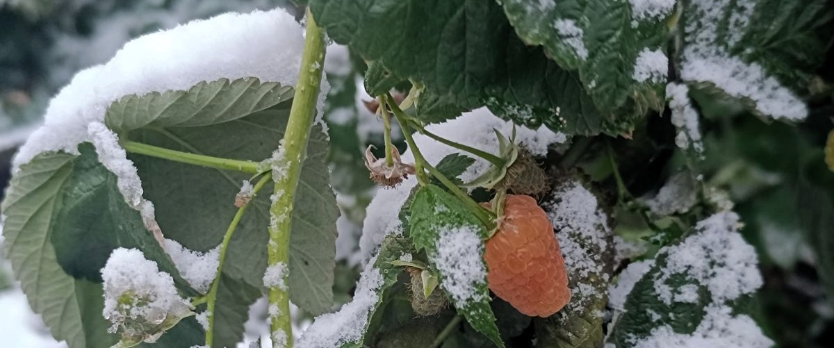 Корректировка жизненного пути