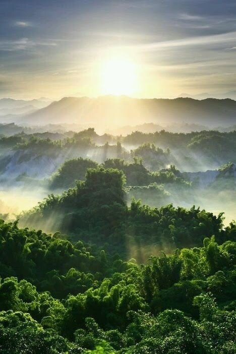 Жизнь в 21-м веке