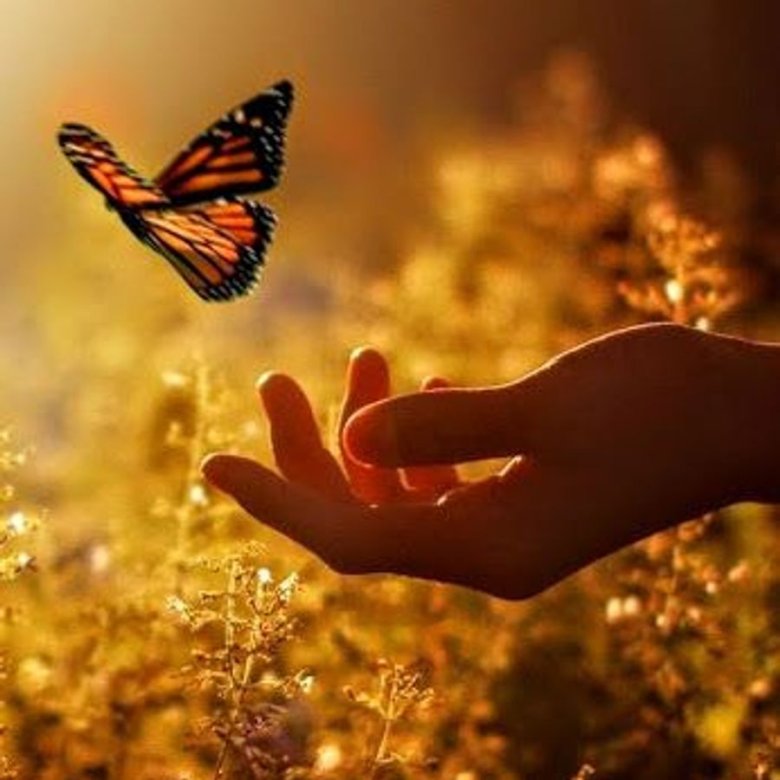 Межнациональное единство 2026