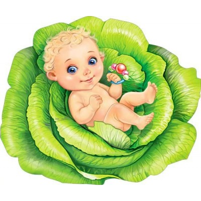 Ребёнок в капусте