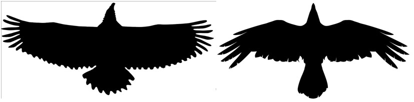 Трое из леса. Но сначала в лес. 2020 год