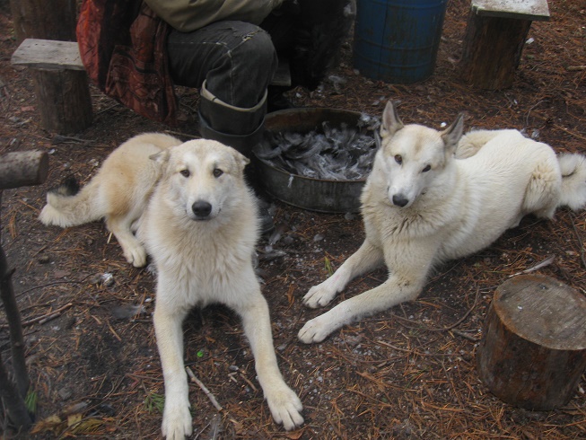 Бог молчит. Часть 4