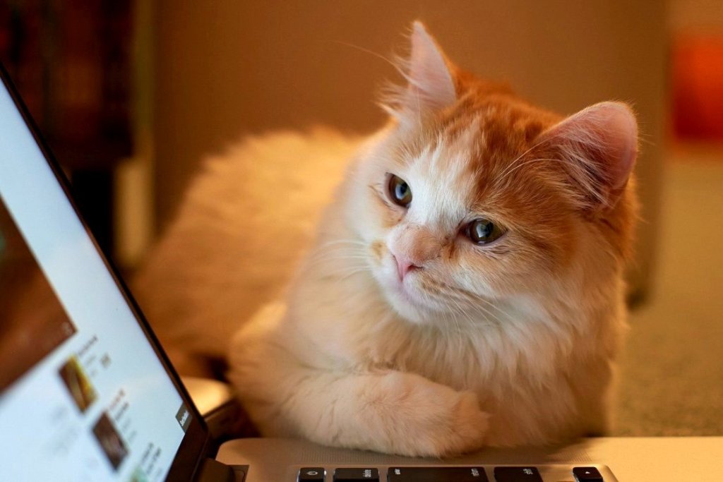 Утро репортёра