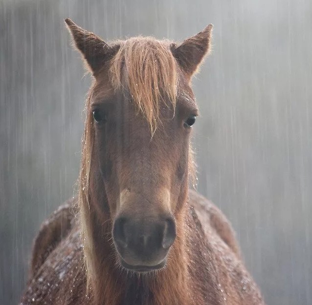 Да куда ж тебе!