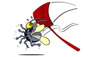 Жизнь таракана Яши в женской голове. 14