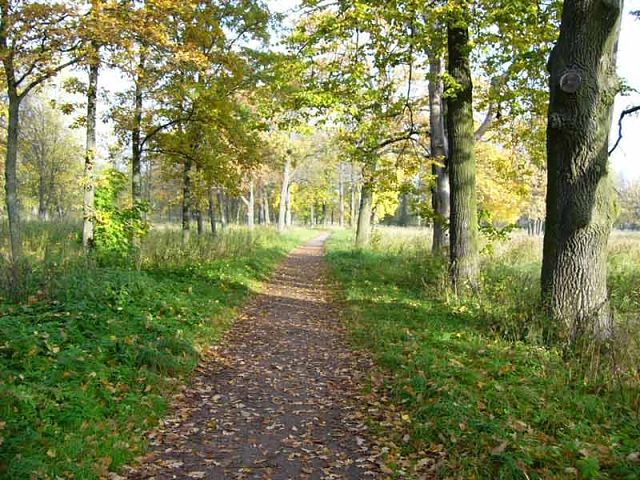 В пермском парке