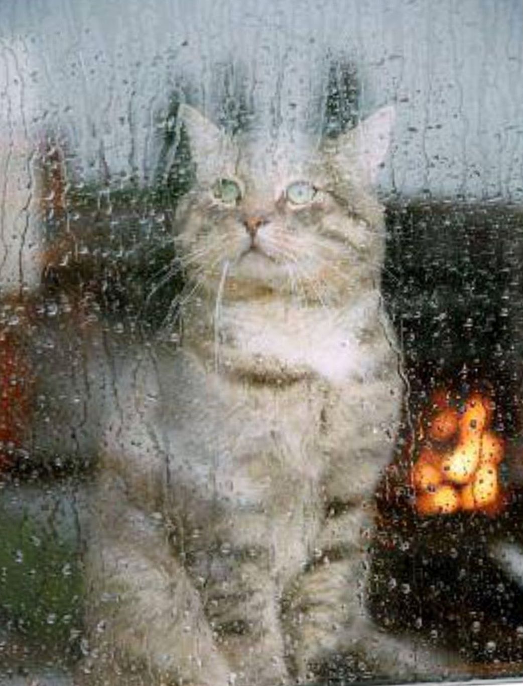 Слякоть утром в понедельник...