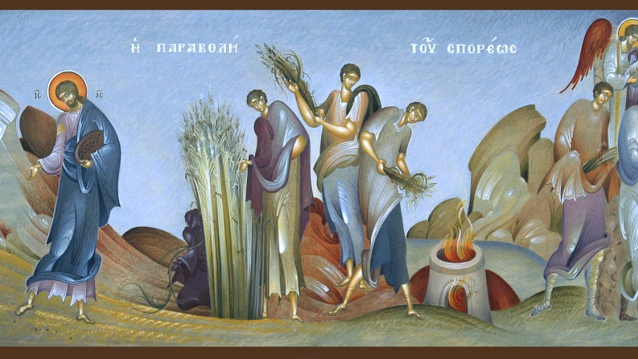 Отделяю зерна от плевел