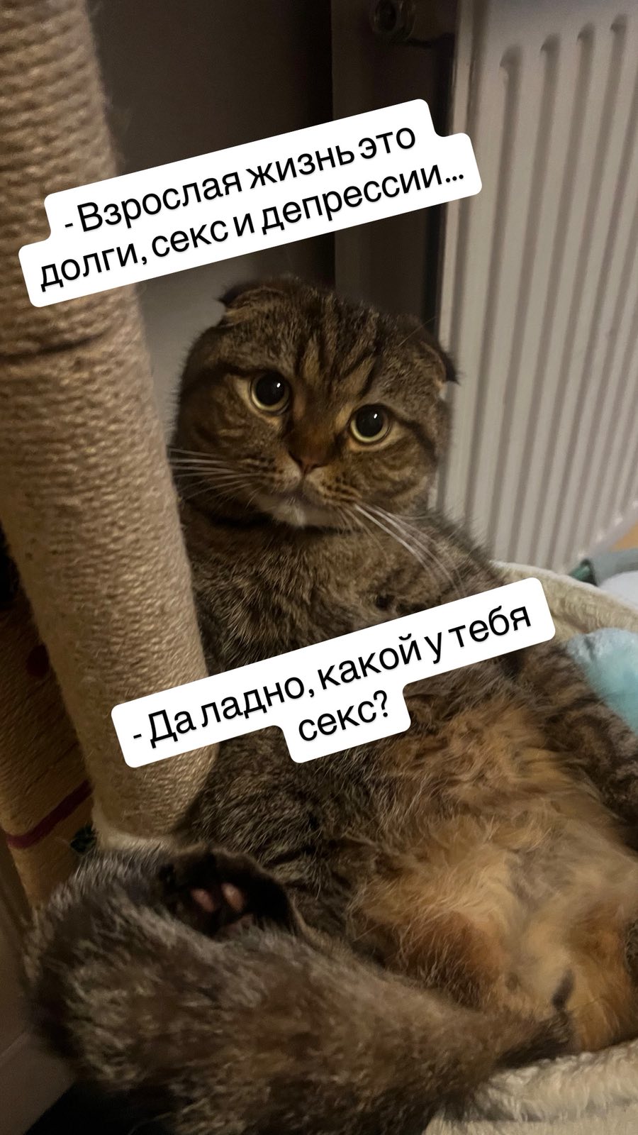 Будни новоиспечённых Одесских эмигрантов